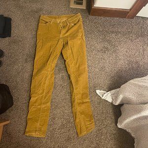 Patagonia Corduroy Pants